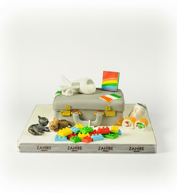 bavul uçak temalı pasta