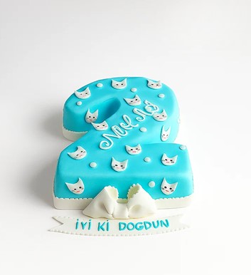 çocuk doğum günü pastası